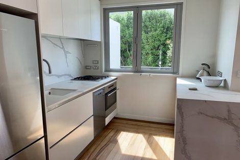 Photo of property in 21 Sheehan Street, Ponsonby, Auckland, 1011