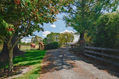 Photo of property in 172 Dalbeth Road, Hamurana, Rotorua, 3072