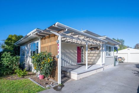 Photo of property in 720 Seddon Street, Raureka, Hastings, 4120