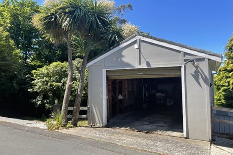 Photo of property in 135 Glenpark Avenue, Maryhill, Dunedin, 9011