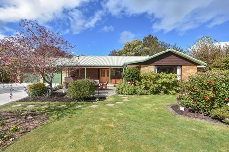 Photo of property in 41 Lynas Street, Outram, 9019