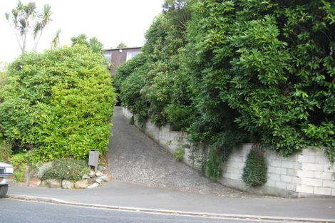 Photo of property in 44 Littlebourne Road, Roslyn, Dunedin, 9010