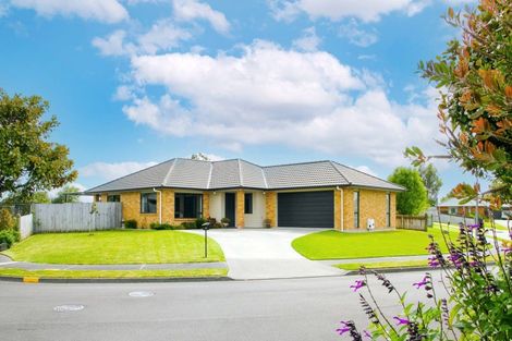 Photo of property in 24 Poynter Place, Gonville, Whanganui, 4501