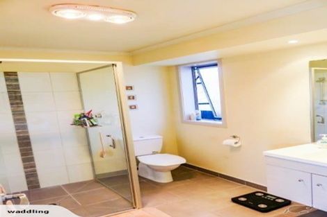 Photo of property in 17 Thomas Moore Place, Pukekohe, 2120