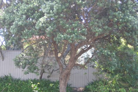 Photo of property in 1d Brighton Terrace, Mairangi Bay, Auckland, 0630