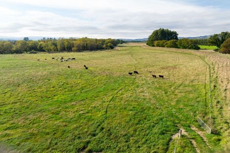 Photo of property in 522 Allanton Road, Outram, 9073