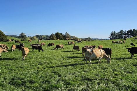 Photo of property in 2386 Tarata Road, Tarata, Inglewood, 4387