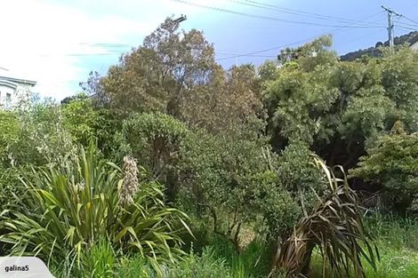 Photo of property in 20 Athol Place, Ravensbourne, Dunedin, 9022