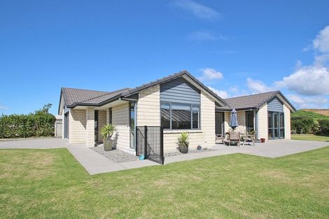 Photo of property in 8 Vantage Place, Omokoroa, 3114