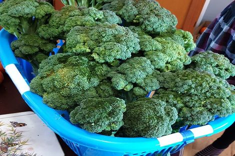 Photo of property in 21 Farmer Road, Waitoa, 3310