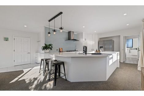 Photo of property in 263 Lake Terrace Road, Shirley, Christchurch, 8061