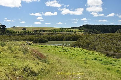 Photo of property in 1 Matahehe Lane, Tinopai, 0593