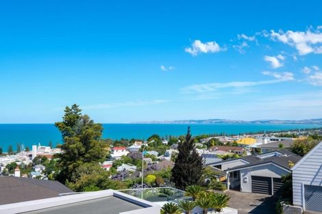 Photo of property in 14 Harvey Road, Bluff Hill, Napier, 4110