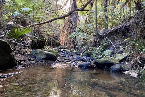 Photo of property in 175g Tapu Coroglen Road, Tapu, Thames, 3575