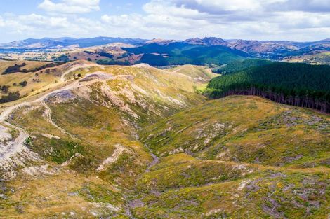 Photo of property in 3525 Masterton Castlepoint Road, Mangapakeha, Masterton, 5889