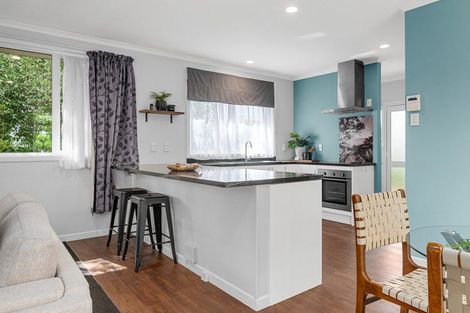 Photo of property in 76 Nixon Street, Hamilton East, Hamilton, 3216