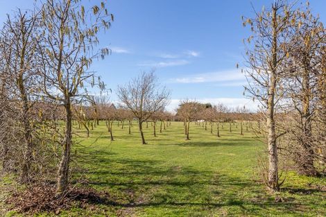 Photo of property in 973 Hoskyns Road, West Melton, Christchurch, 7671