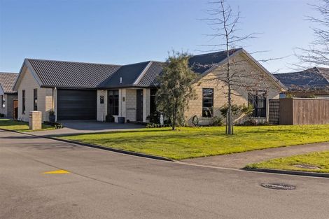 Photo of property in 2 Korari Grove, Redwoodtown, Blenheim, 7201