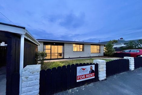 Photo of property in 58 Albert Street, Saint Clair, Dunedin, 9012