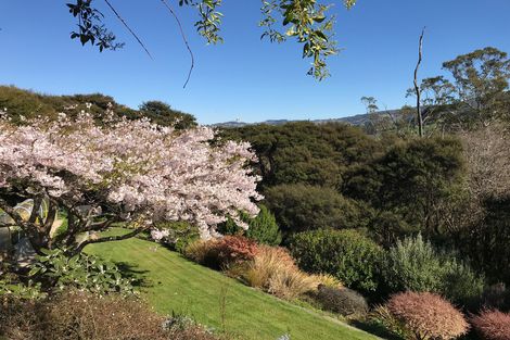 Photo of property in 8 Ribbonwood Close, Normanby, Dunedin, 9010