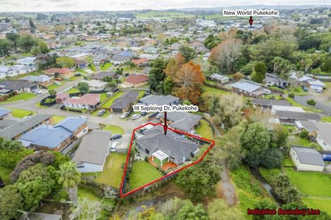 Photo of property in 18 Sapling Drive, Pukekohe, 2120