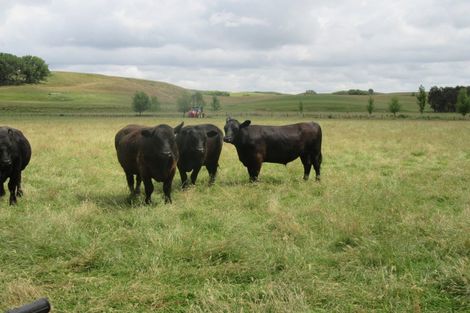 Photo of property in 359 Mangatarata Road, Waipukurau, 4285