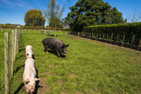 Photo of property in 24 Cameron Road, Makauri, Gisborne, 4071