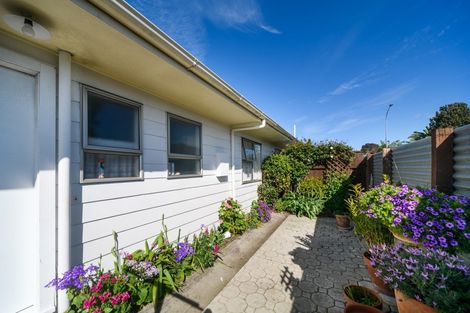 Photo of property in 633b Ferguson Street, Terrace End, Palmerston North, 4410