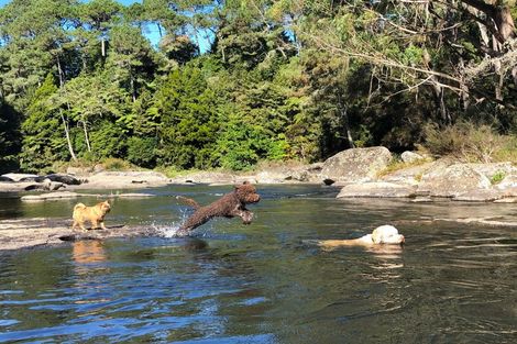 Photo of property in 1911b State Highway 29, Lower Kaimai, Tauranga, 3171