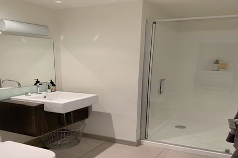 Photo of property in Forte Apartments, 81/13 College Street, Te Aro, Wellington, 6011