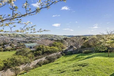 Photo of property in 9 Curacao Place, Grenada Village, Wellington, 6037