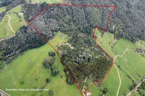 Photo of property in 1579 Tairua Whitianga Road, Whenuakite, Whitianga, 3591