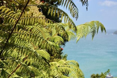 Photo of property in 14 Pacific Drive, Tairua, 3508