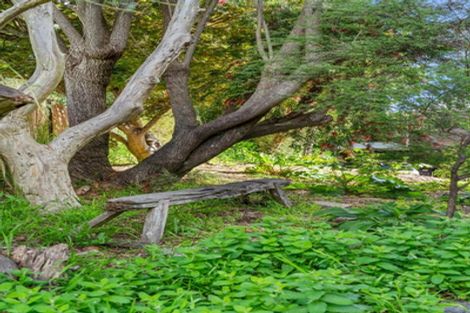 Photo of property in 59 Merivale Road, Parkvale, Tauranga, 3112