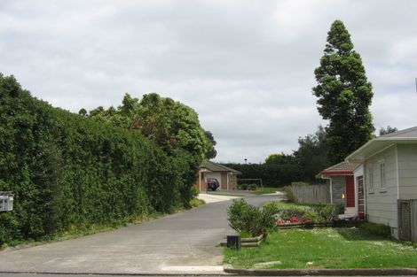 Photo of property in 8 Jutland Road, Pukekohe, 2120