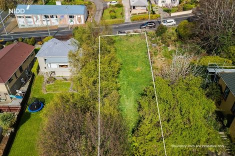 Photo of property in 59 Argyle Street, Mornington, Dunedin, 9011