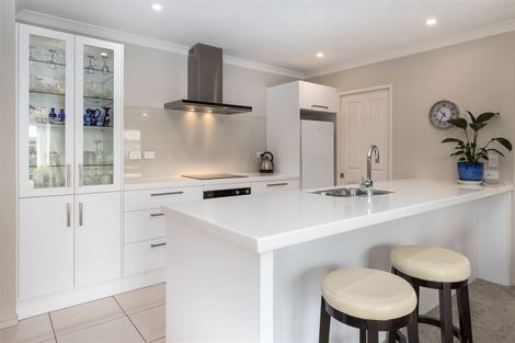 Photo of property in 217 Taylor Pass Road, Witherlea, Blenheim, 7201