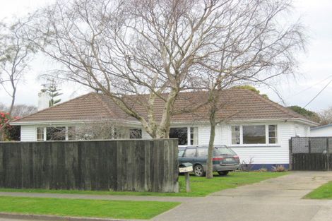 Photo of property in 126 Tiro Tiro Road, Levin, 5510