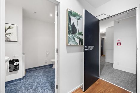 Photo of property in St Peters Apartments, 2a/192 Willis Street, Te Aro, Wellington, 6011