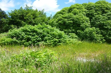 Photo of property in 21-23 Hilton Street, Blackball, 7804