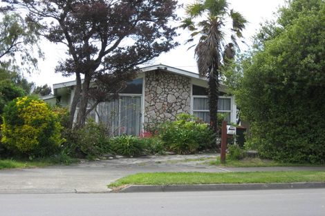 Photo of property in 119 Redwood Street, Redwoodtown, Blenheim, 7201