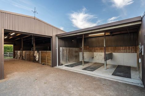 Photo of property in 81 Racecourse Road, Cambridge, 3493