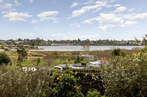 Photo of property in 163 Ohauiti Road, Hairini, Tauranga, 3112