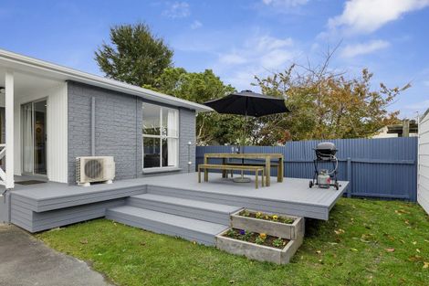 Photo of property in 29 Mcleod Street, Elderslea, Upper Hutt, 5018