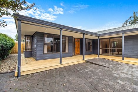 Photo of property in 11a Darley Street, Maeroa, Hamilton, 3200