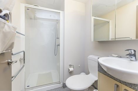 Photo of property in Dual Apartments, 306/142 Vivian Street, Te Aro, Wellington, 6011