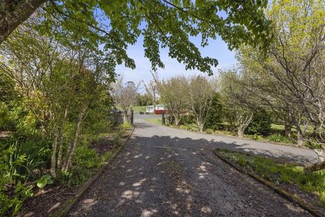 Photo of property in 39 Tarena Street, Mamaku, 3020