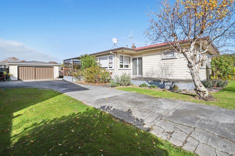 Photo of property in 448 Tremaine Avenue, Takaro, Palmerston North, 4410