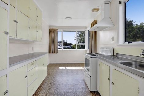 Photo of property in 97 Brecon Road, Stratford, 4332