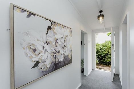 Photo of property in 13 Argyle Street, Mornington, Dunedin, 9011